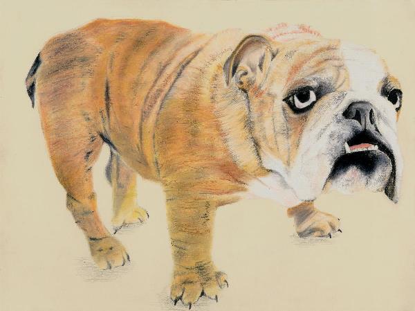 Http://www.pilothousegallery.co.uk