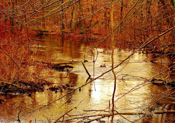 Russel Lake Mi