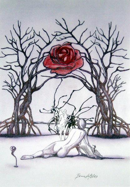 Illusion