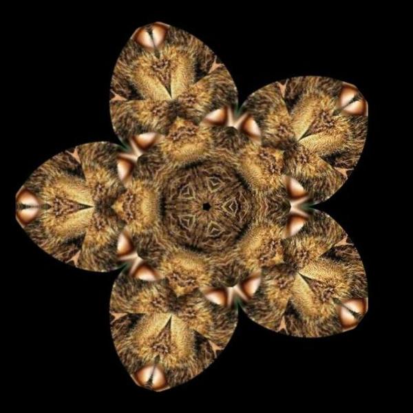 Kaleidoscope Star