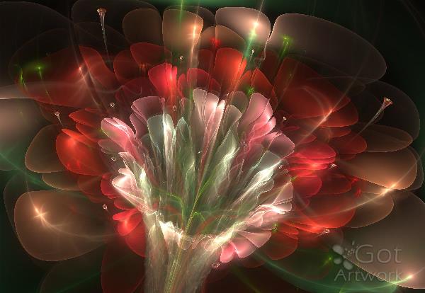 In Bloom