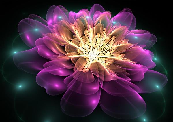 Clematis Magica