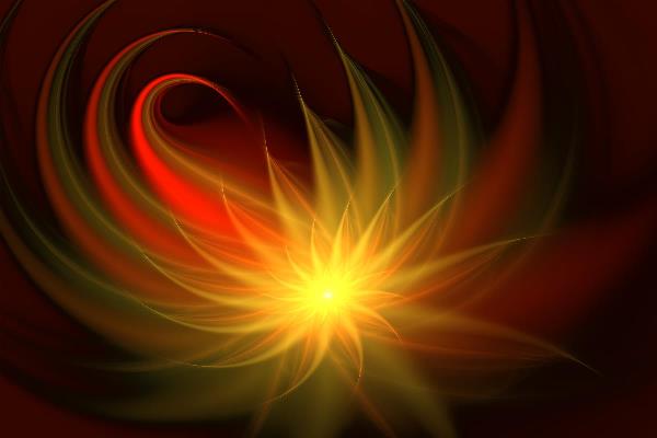 Exotic Flower