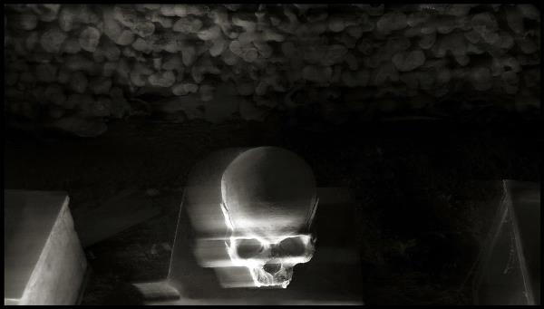 Skulls, Skull, Teschi, Teschio - Fotografia Di Augusto De Luca. 54