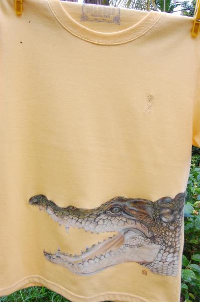 Crocodile