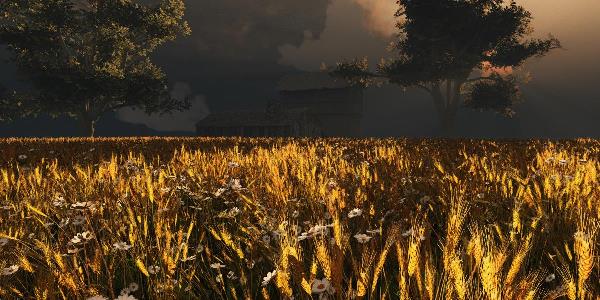 Kansas