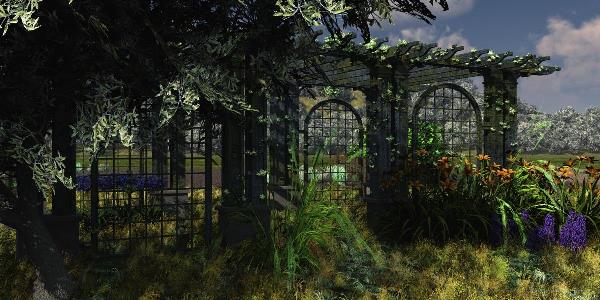Old Garden Out Back