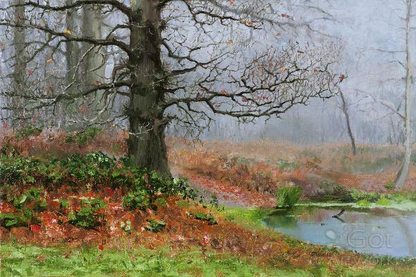 Autumn Scene With Oak