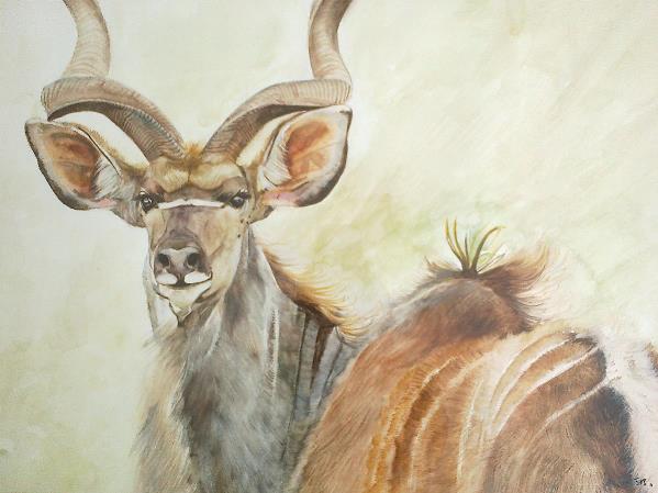 Kudu