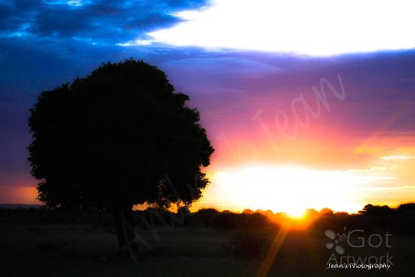 Sunrise