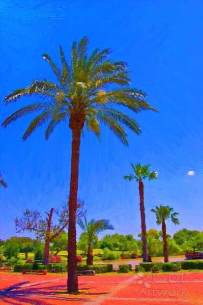 Palm Trees By The Lake