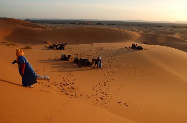 Sahara
