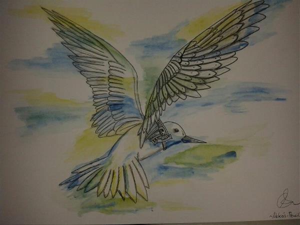 Bird Drawing With Aquarell