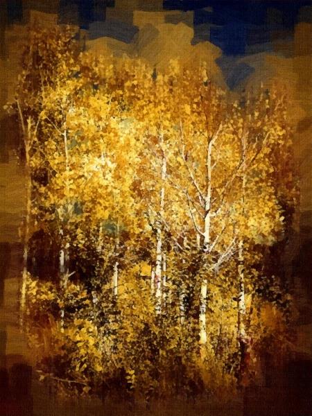 Gothic Aspen Trees 2