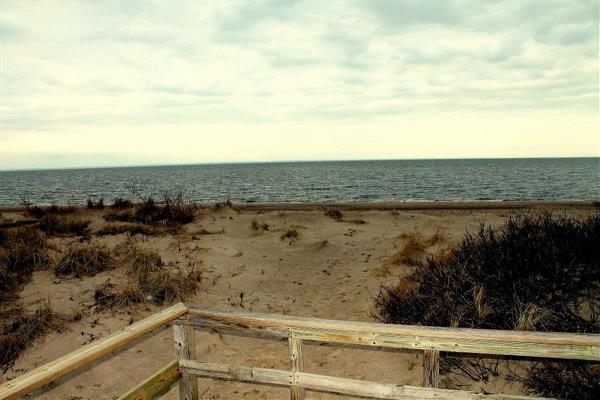 Hidden View Of The Beach