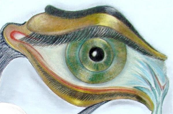 Seagull's Tear 2014- 136 Painting