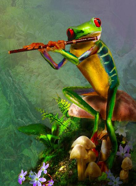 Flute Playing Frog