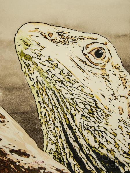 Face Of Lizard