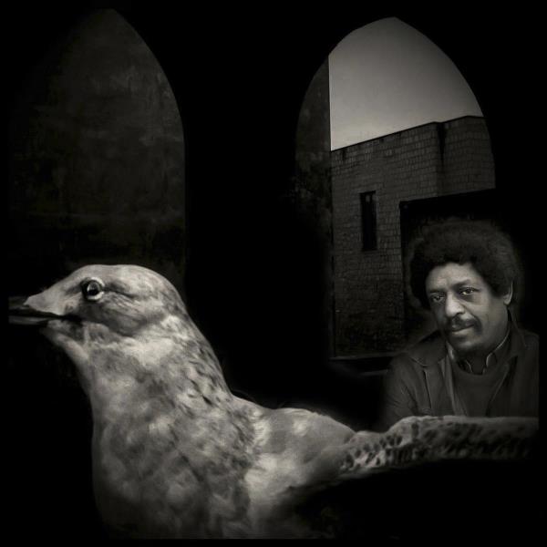 Irio De Paula - Photo By Augusto De Luca.