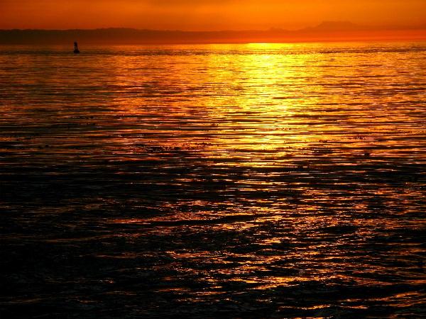 Sunset C