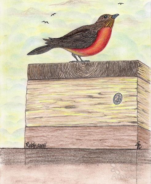 The Magical Red Robin