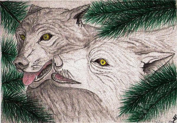 Wolves Forever