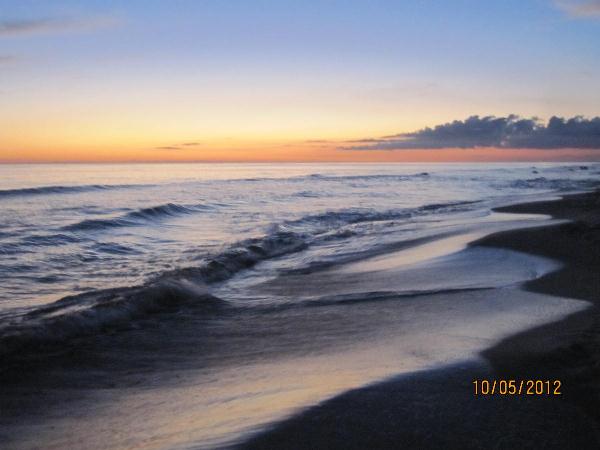 Waves