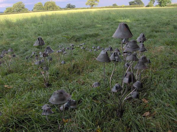 Metal Mushrooms-shroom With A View-Stanger Moore Sculpture