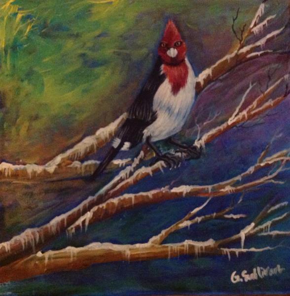 Red-Crested Cardinal