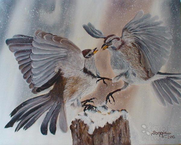 Serceler(birds)
