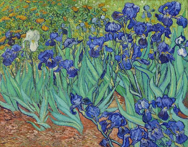 Van Gogh S Irises 1889