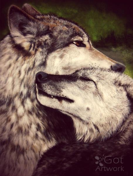 Wolves