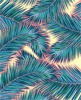 Palm Tree 7