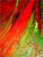 Watching Bird As Greeting Card
