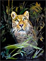 Leopard Is Watching As Poster