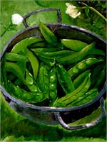 Bowl Of Green Beans
