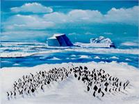 100 Penguins As Framed Poster