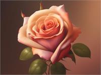 Pink Rose