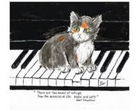 Music And Cats