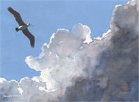 Pelican In The Clouds As Calendar