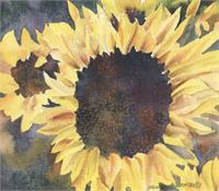 Sunflowers As Framed Poster