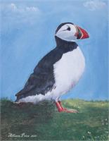 Newfoundland Puffin As Greeting Card