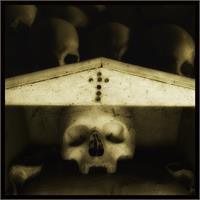 Skulls 1 - Augusto De Luca Photographer
