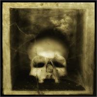 Skulls 3 - Augusto De Luca Photographer