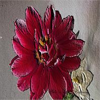 Lisas Red Flower