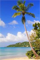 Magens Bay Beach St Thomas Virgin Islands Photograph By Roupen Baker