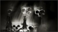 Skulls, Skull, Teschi, Teschio - Fotografia Di Augusto De Luca. 53