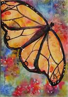 Flutter Fly As Greeting Card