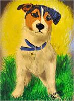 Jack Russel Terrier As Greeting Card
