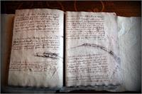 Leonardo Da Vinci, Codex On Flight